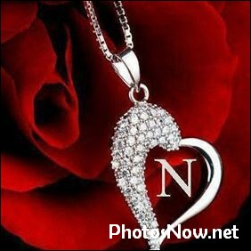 n-name-dp21 n-name-dp