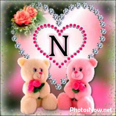 n-name-dp4 n-name-dp