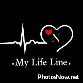 n-name-dp44 n-name-dp