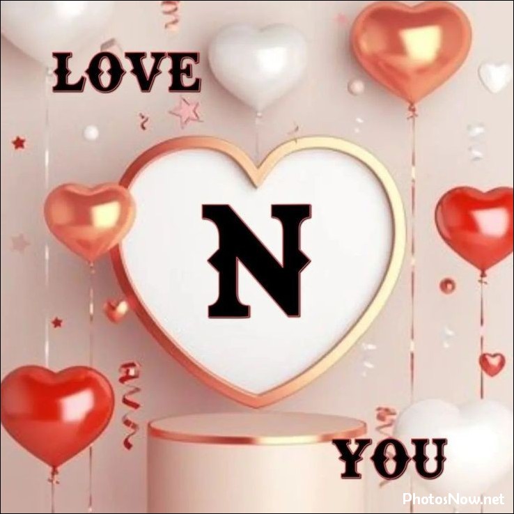 n-name-dp5 n-name-dp