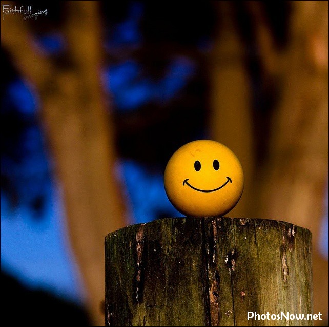 smile-dp13 smile-dp
