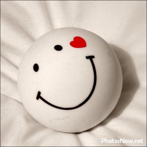 smile-dp15 fake-smile-dp