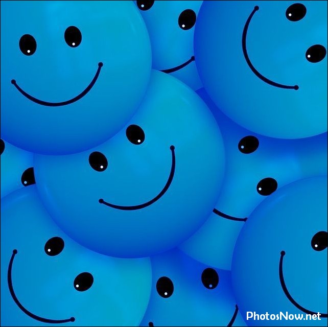 smile-dp31 smile-dp