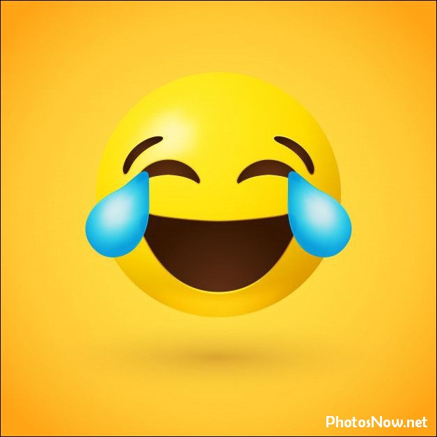 smile-dp34 smile-dp