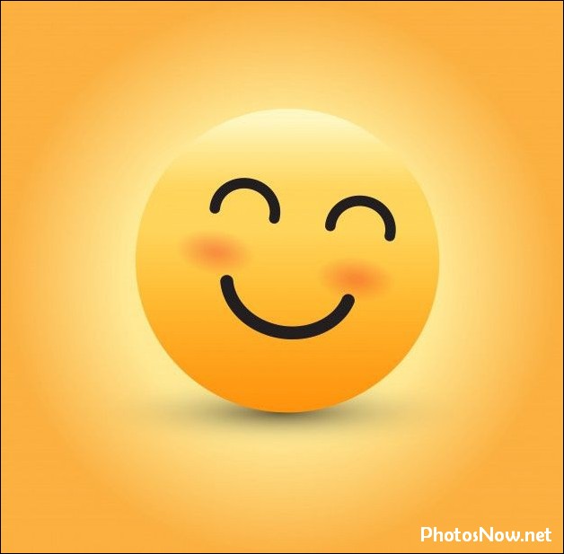 smile-dp43 smile-dp