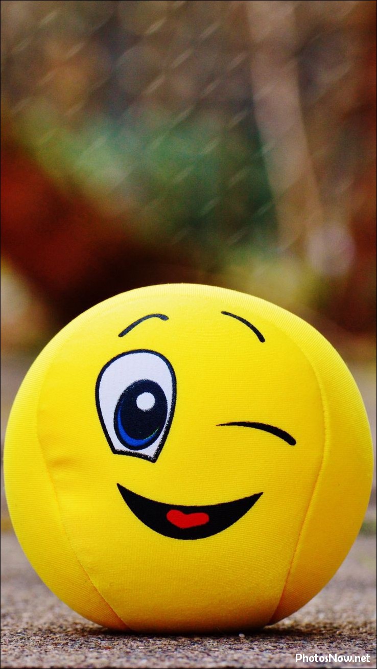 smile-dp5 smile-dp