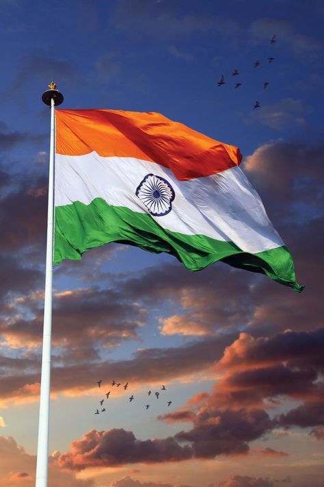 Tiranga Dp Tiranga Dp