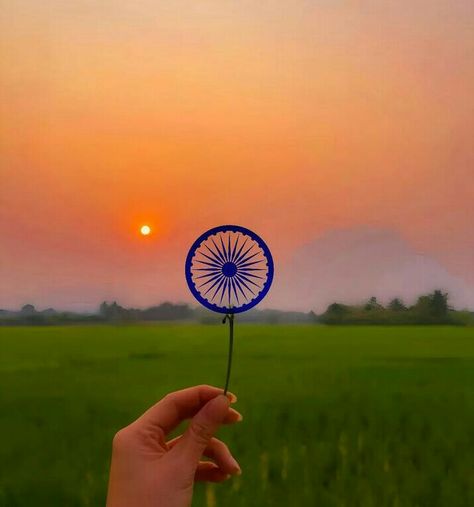 Tiranga Dp1 Tiranga Dp