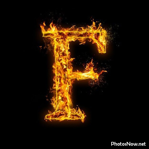 f-name-dp11 f-name-dp