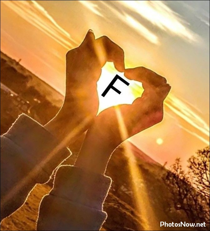 f-name-dp16 f-name-dp