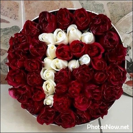 f-name-dp45 f-name-dp