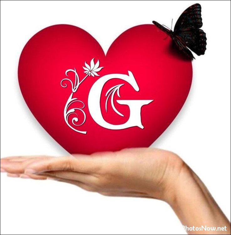 g-name-dp26 g-name-dp