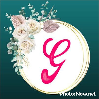 g-name-dp44 g-name-dp